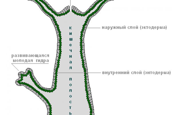 Оригинальная ссылка на магазин кракен