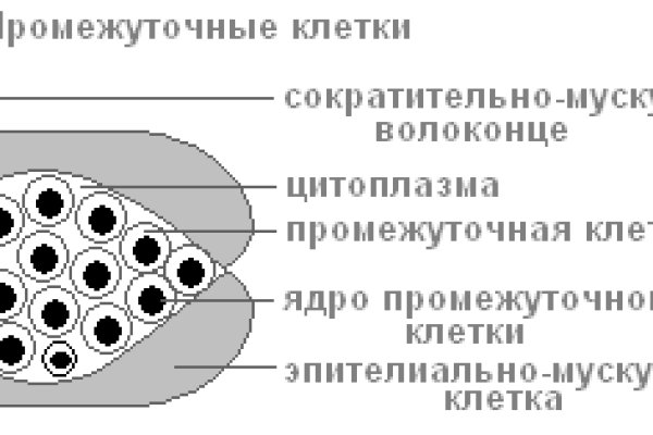 Kraken пользователь не найден при входе