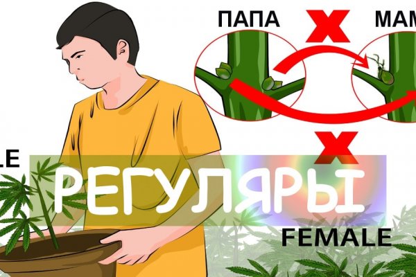 Кракен купить счастьеедрон