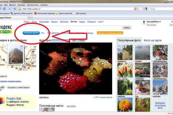 Кракен прямая ссылка