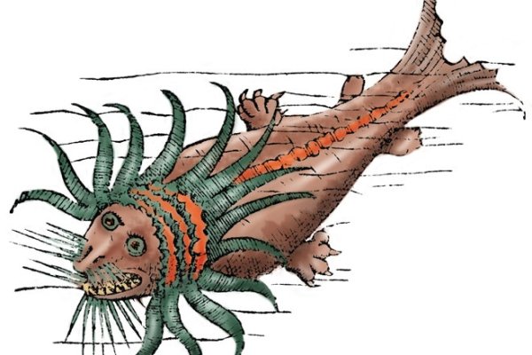 Hydra kraken