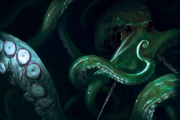 Kraken whitenet зеркала