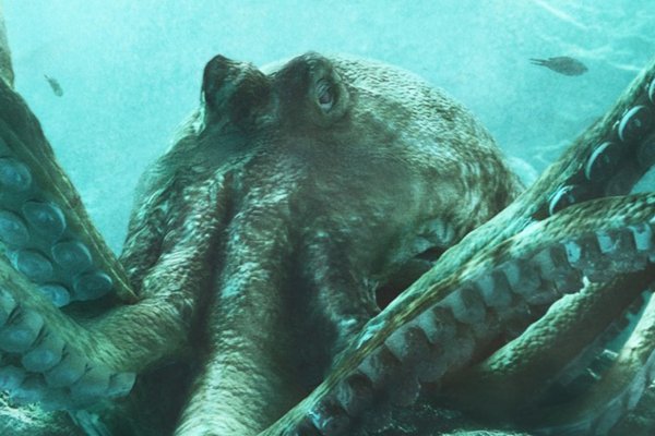 Kraken 17 at