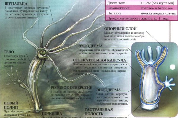 Кракен супернет как зайти