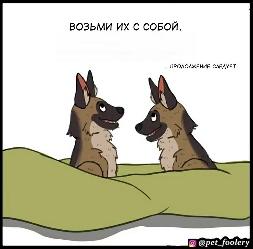 Kraken смылка